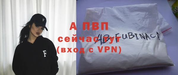 ГАЛЛЮЦИНОГЕННЫЕ ГРИБЫ Кодинск