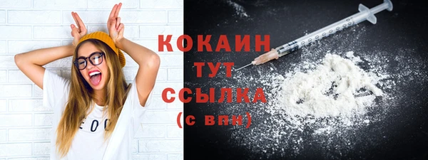 ГАЛЛЮЦИНОГЕННЫЕ ГРИБЫ Кодинск