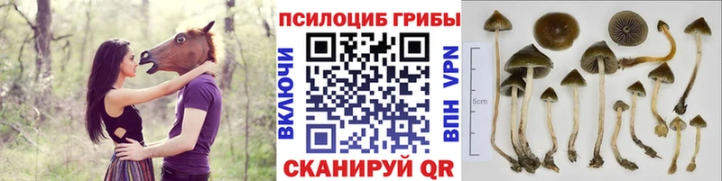 Псилоцибиновые грибы ЛСД  Лермонтов 